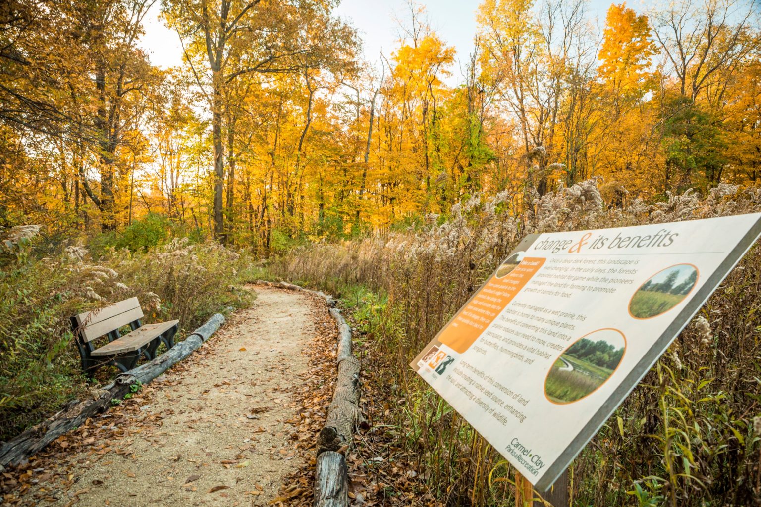 Reimagining Meadowlark Park | Carmel Clay Parks & Recreation