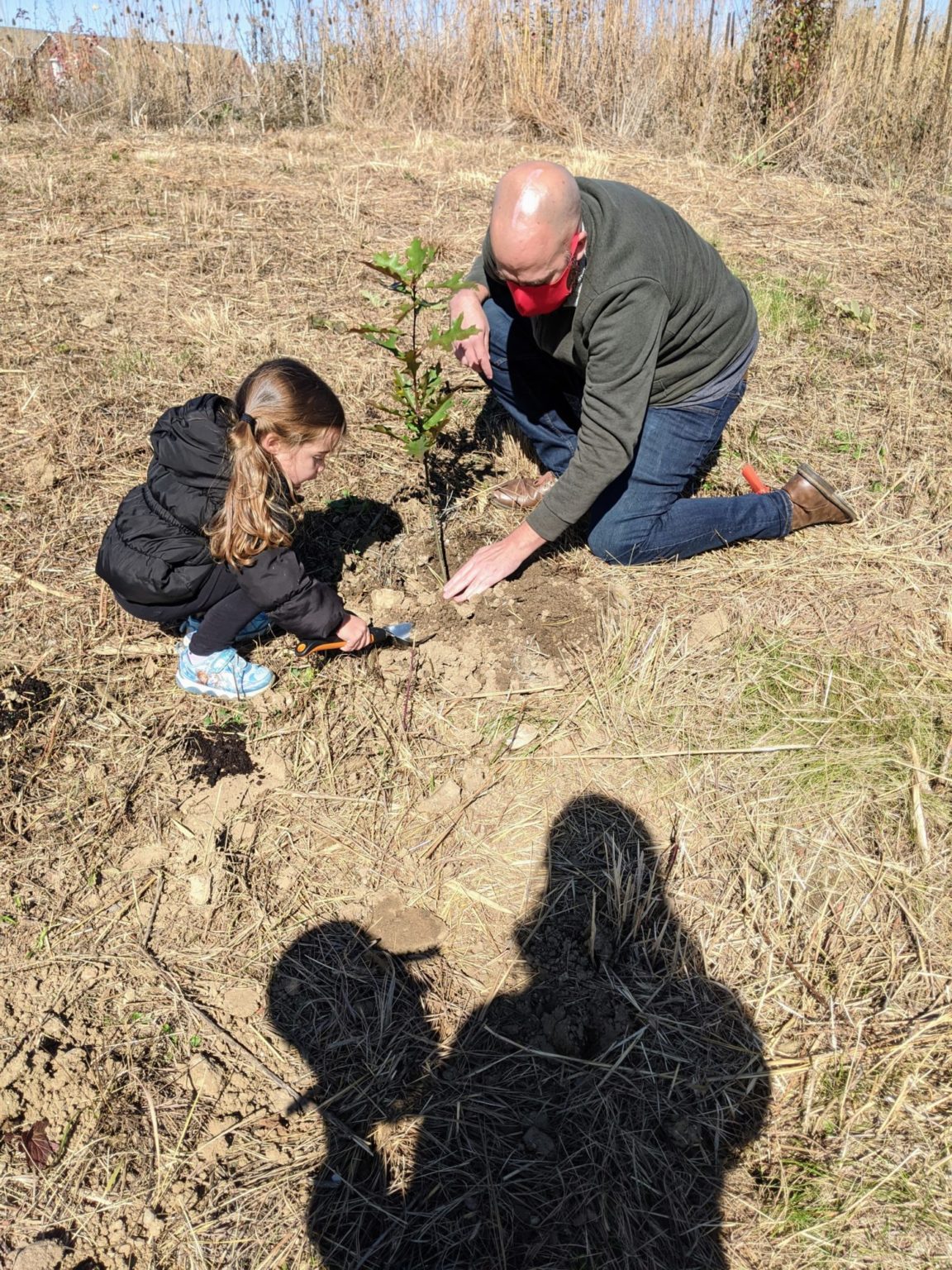 The food forest and its benefits Carmel Clay Parks & Recreation