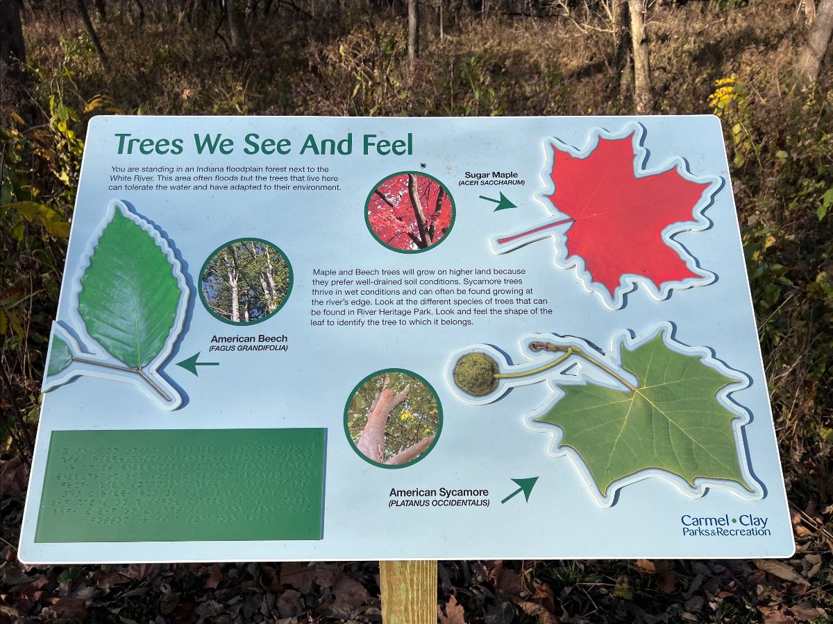 Braille and Tactile Interpretative Signage at River Heritage Park.